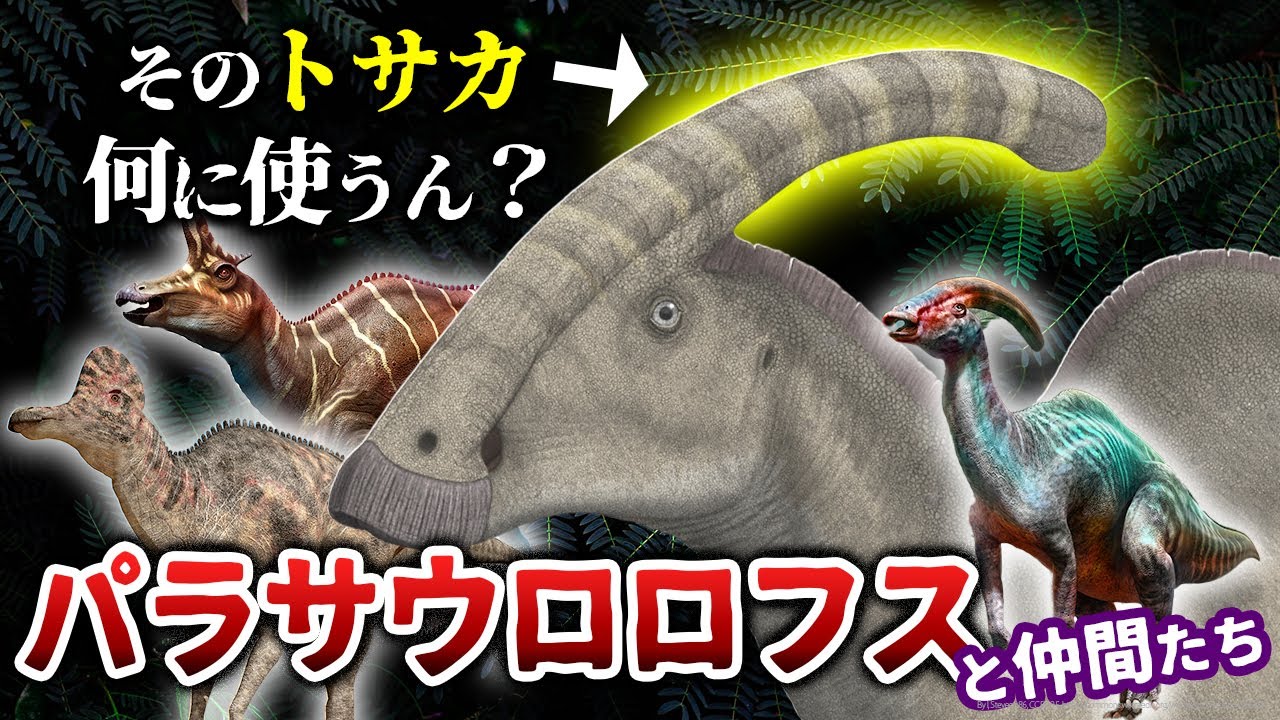 【ゆっくり解説】その頭何に使うの？パラサウロロフスとその仲間たちについて