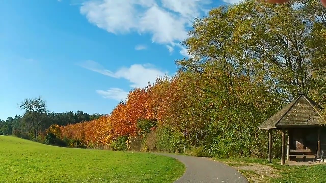 herbstliche Radtour um den Tollensesee in Neubrandenburg