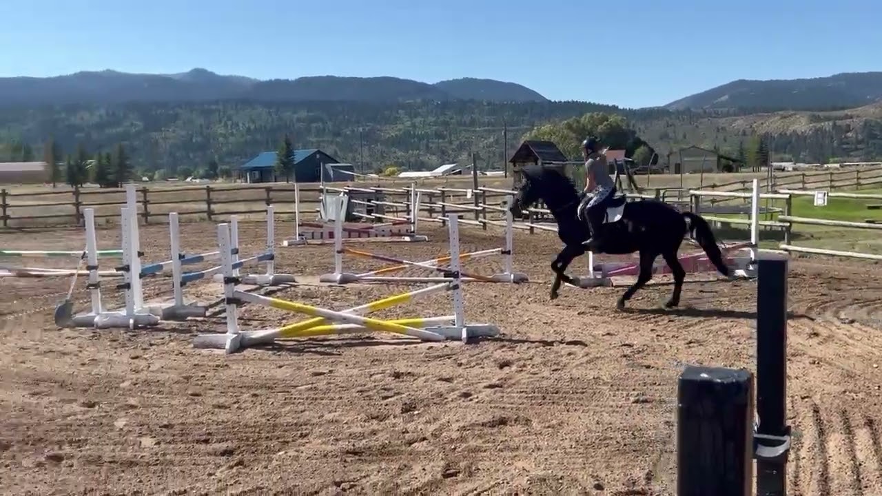 Jumping Kai (moms horse)