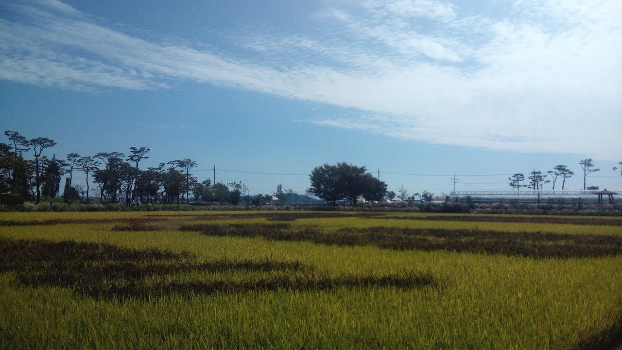 Byeokgolje, Gimje - 2019/10/10 🏞️