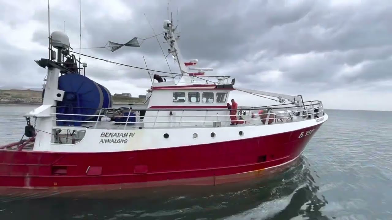 Kilkeel Harbour | First Time In 5 Years I Caught in Irish Sea