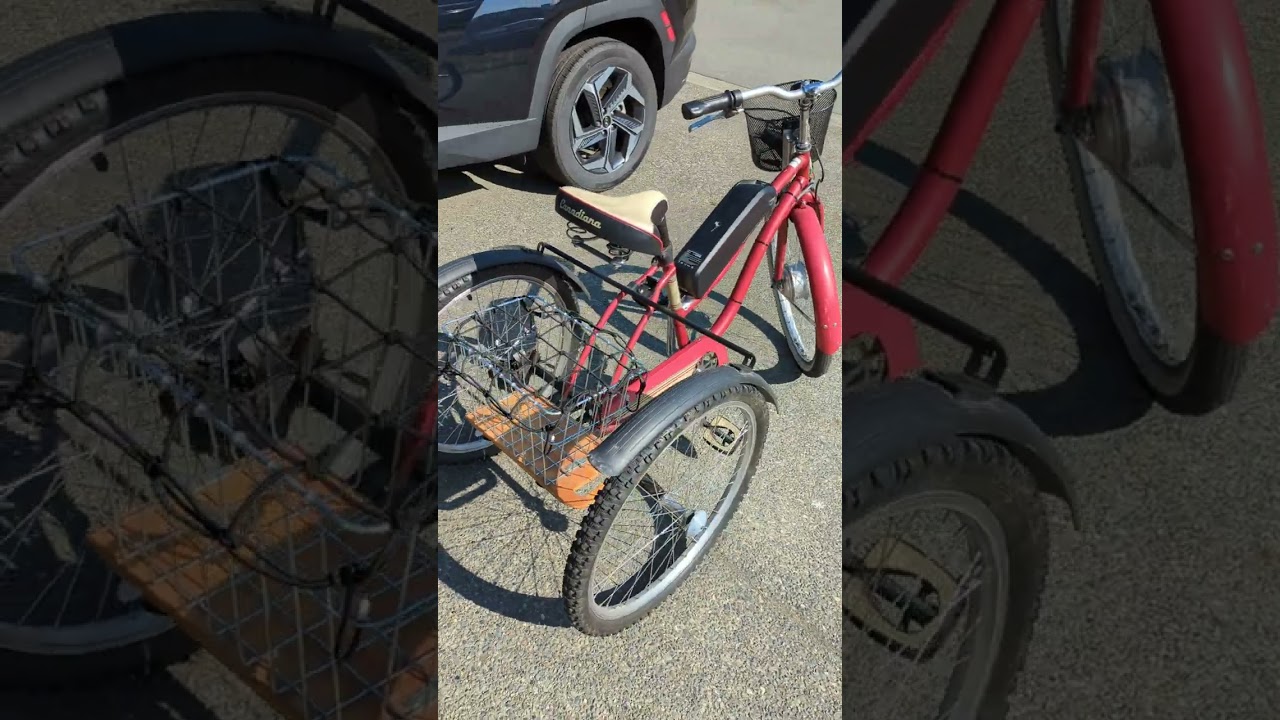 Homemade Electric Trike