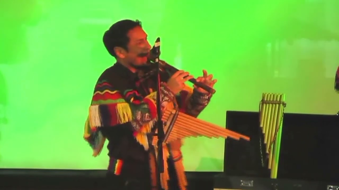 LA PAMPA y LA PUNA - Wayanay