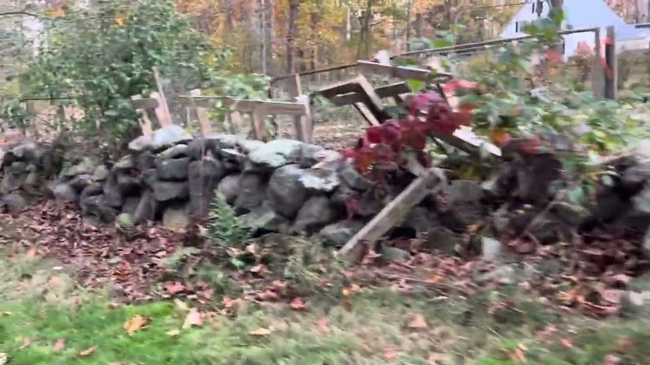 Tractor tour of the late fall garden 
