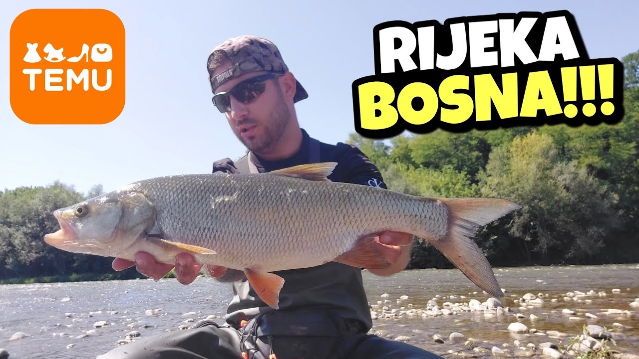 Pecanje BUCOVA (Bolena) i KLENA na TEMU Varalicu !!!