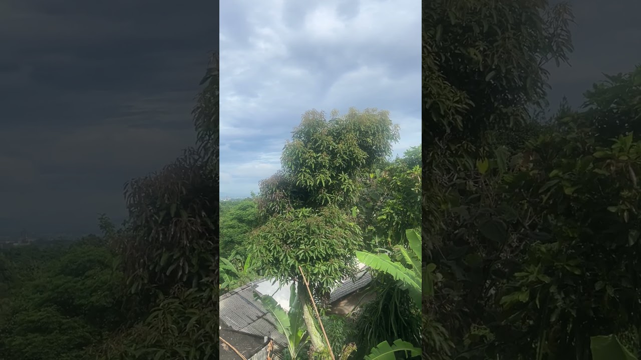 #vlog #daily #fyp #bogor #dailyvlog #shorts link jumat berbagi ada di bio