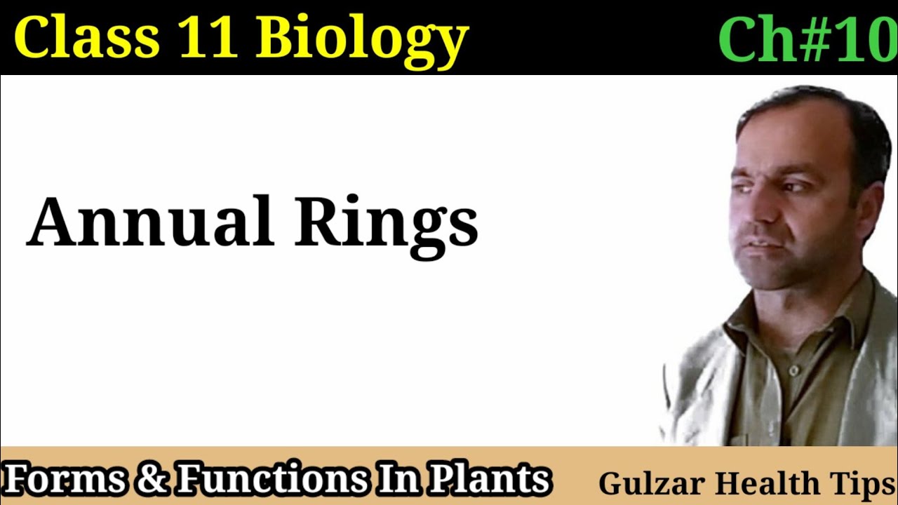 Annual Rings | Forms and functions in plants | class 11th Biology.