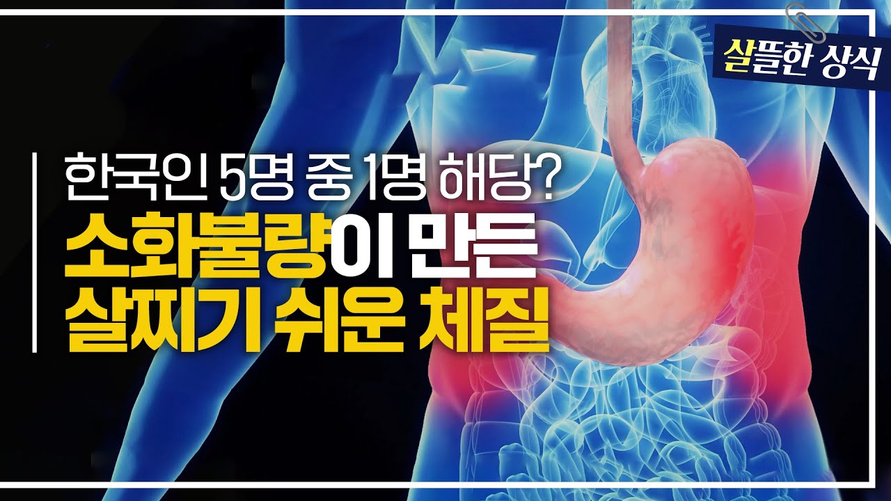 탄수화물은 소화가 안 된다?🙄소화불량으로 인해 줄어드는 신진대사량!｜한 번 더 리즈시절｜JTBC 230701 방송
