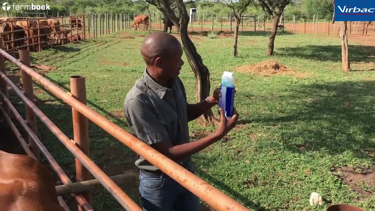 Hans takes us through the application of one of our products, Eliminate.
