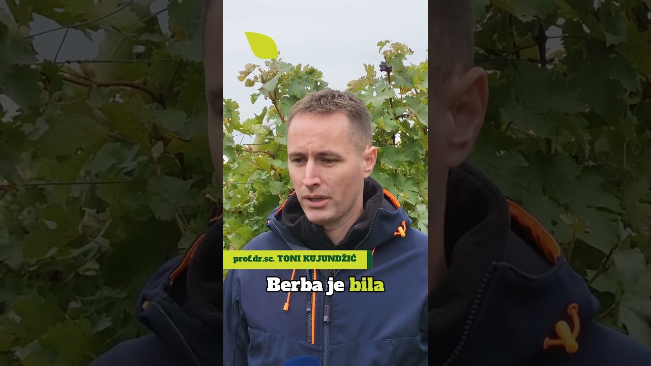 Poku&scaron;ali&scaron;te Mandićevac
