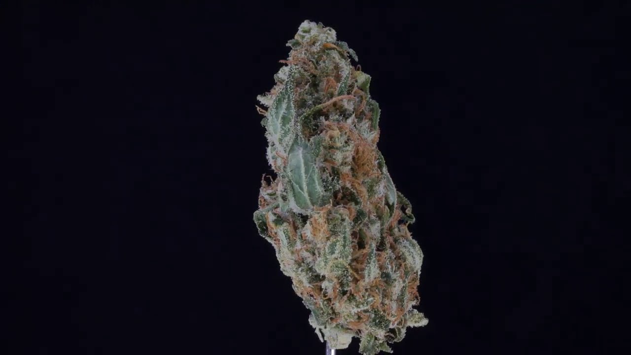 4K Cannabis 010 - Medreleaf Luminarium