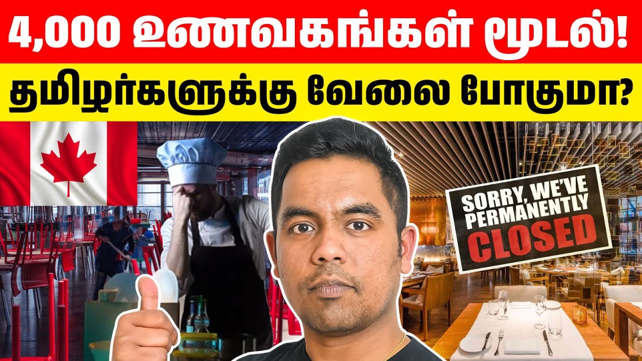 உணவக வேலை இனி கிடைக்காதா? கனடா செல்லும் மாணவர்கள் கவனத்திற்கு! | Reality of Canada Food Industry
