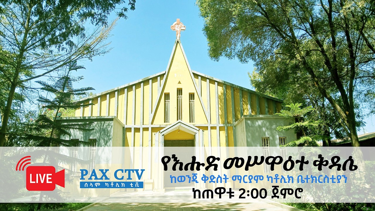 የእሑድ መሥዋዕተ ቅዳሴ ቀጥታ ስርጭት ከወንጂ ቅድስት ማርያም ቁምስና || Live Holy Mass from Wonji St. Mary Catholic Church