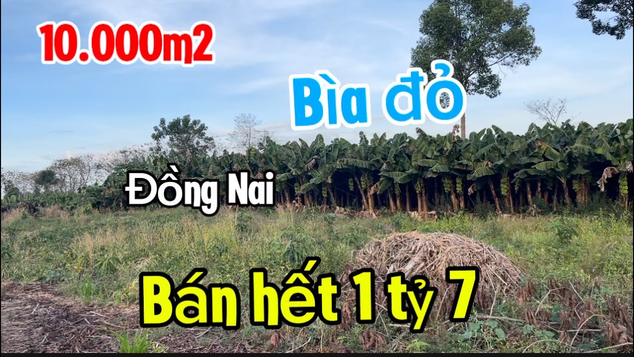 Bán 10.000m2 sổ Hồng riêng giá bán 1 tỷ 7 đất nông nghiệp giá rẻ tại đồng Nai 