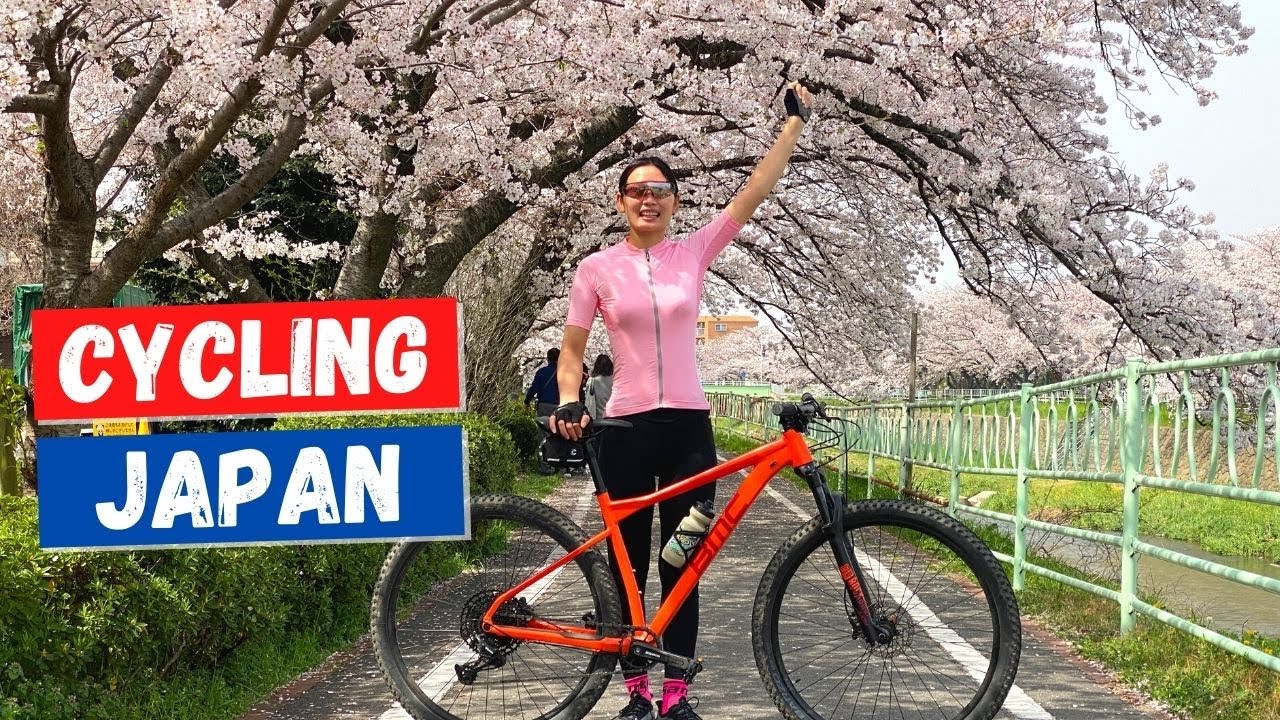 Ханами велопрогулка в Японии 🌸 Цветение сакуры