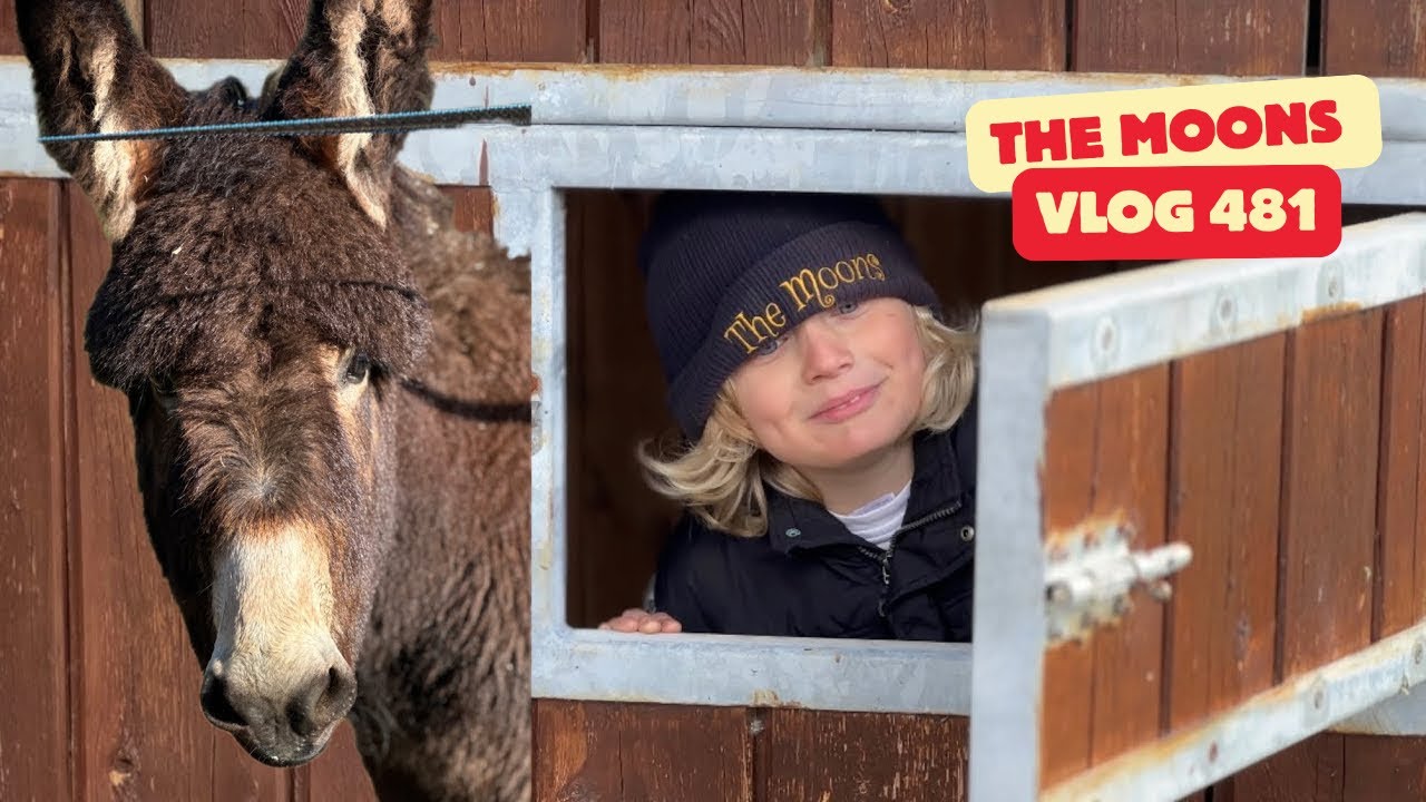 Tiny Tim, New stables & life on the farm 