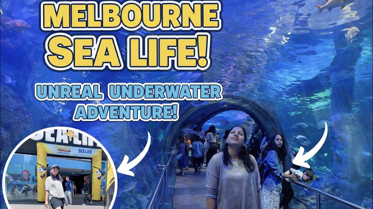 Sea Life Melbourne Video Tour   | Sharks, Penguins, Turtles