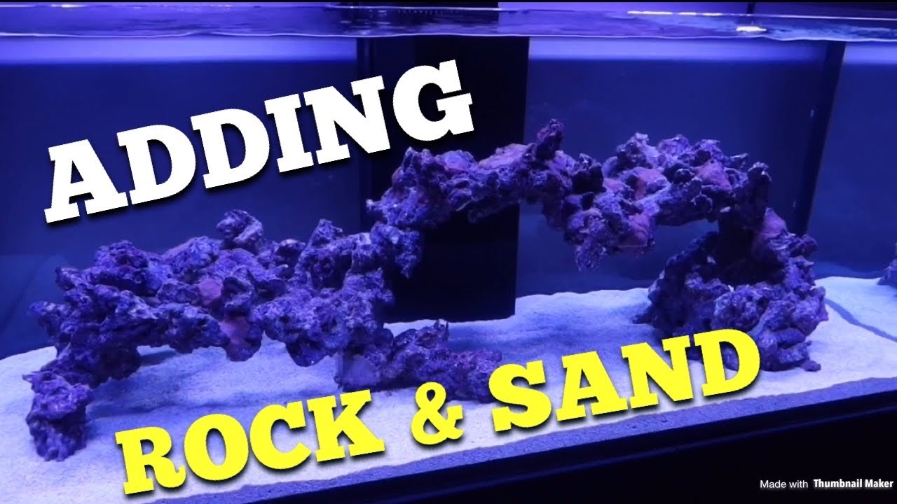 Adding Rock & Sand (Waterbox 180.5)