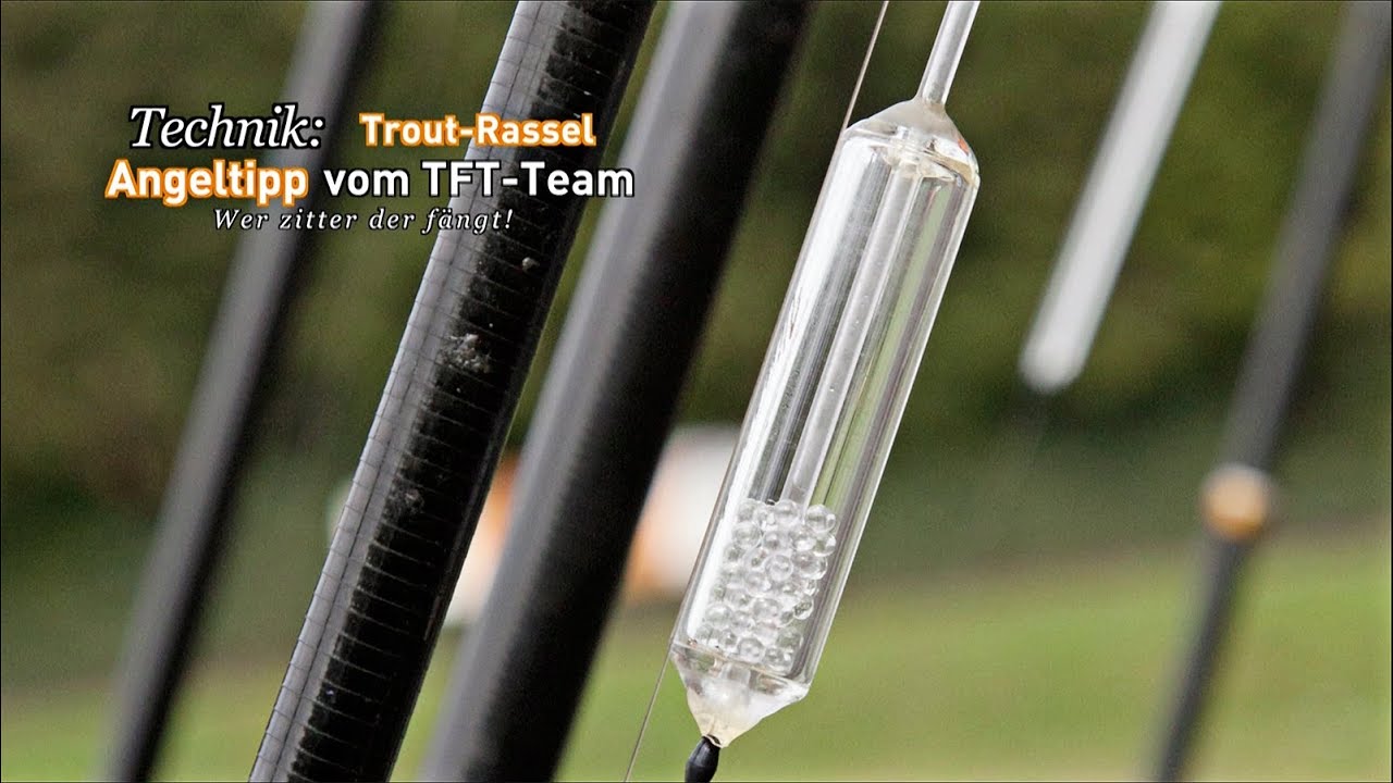 Angeln am Forellenteich - Die Amino Trout-Rassel