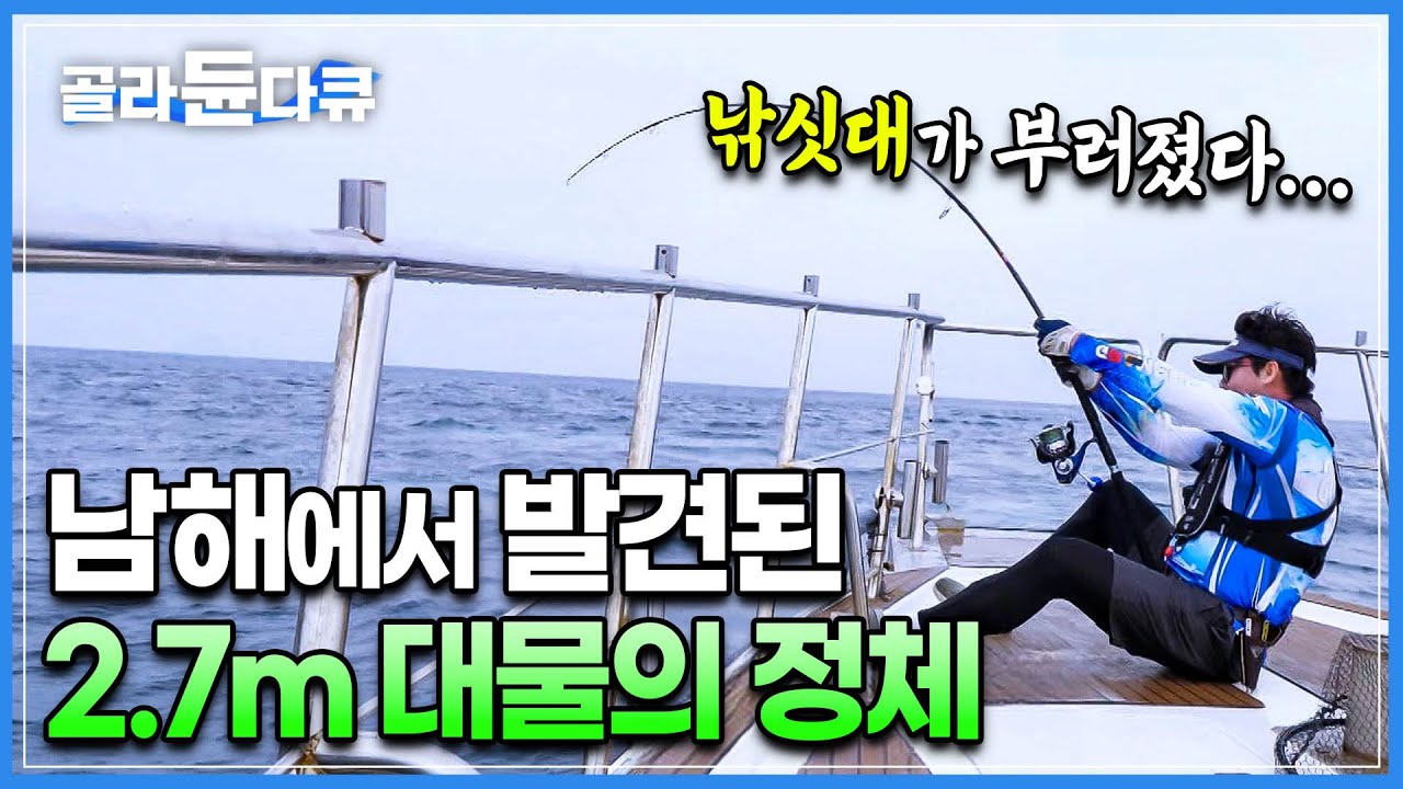 남해의 여서도, 대어들의 보금자리에 나타난 대물의 정체! 있으면 안 되는 게 등장했다... 최상위 포식자 상어잡이┃바닷가 사람들┃#골라듄다큐