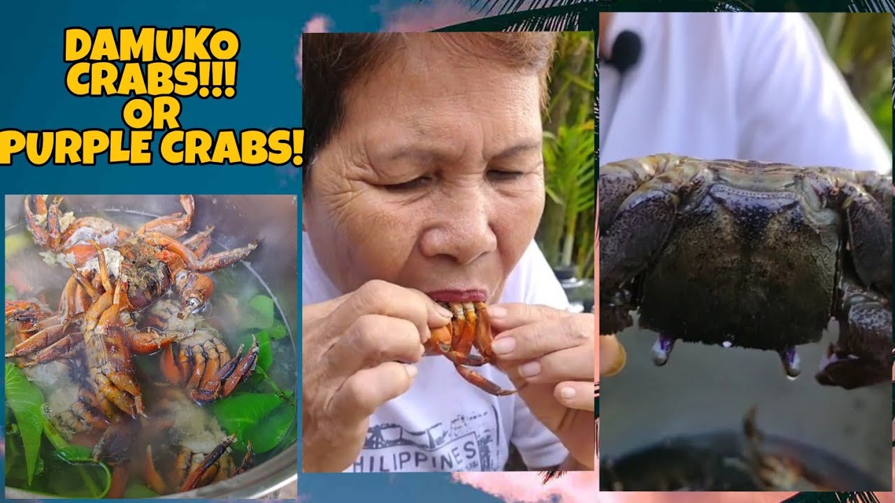 COOKING DAMUKO CRABS in TAMARIND!!!