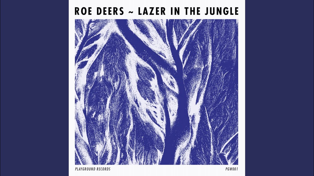 Lazer In The Jungle (Sascha Funke Remix)