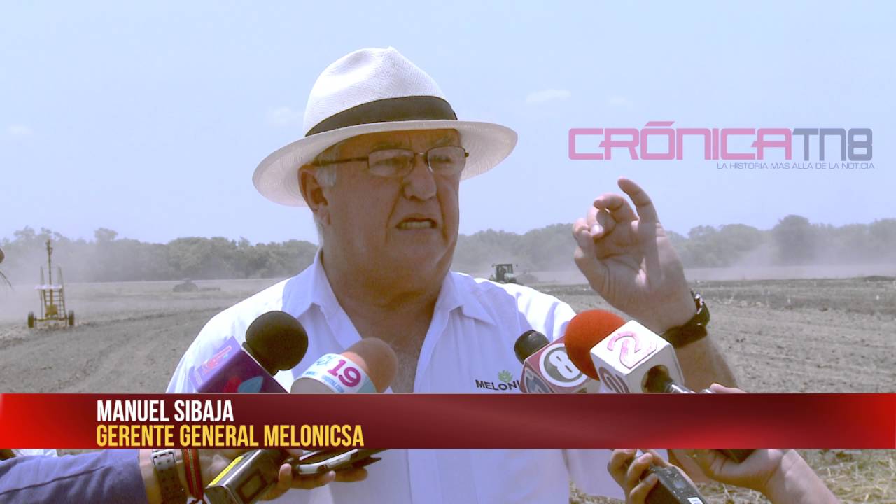 Producción de Arroz en Nicaragua
