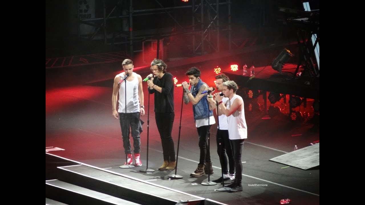 One Direction - WWA tour Moments 2014