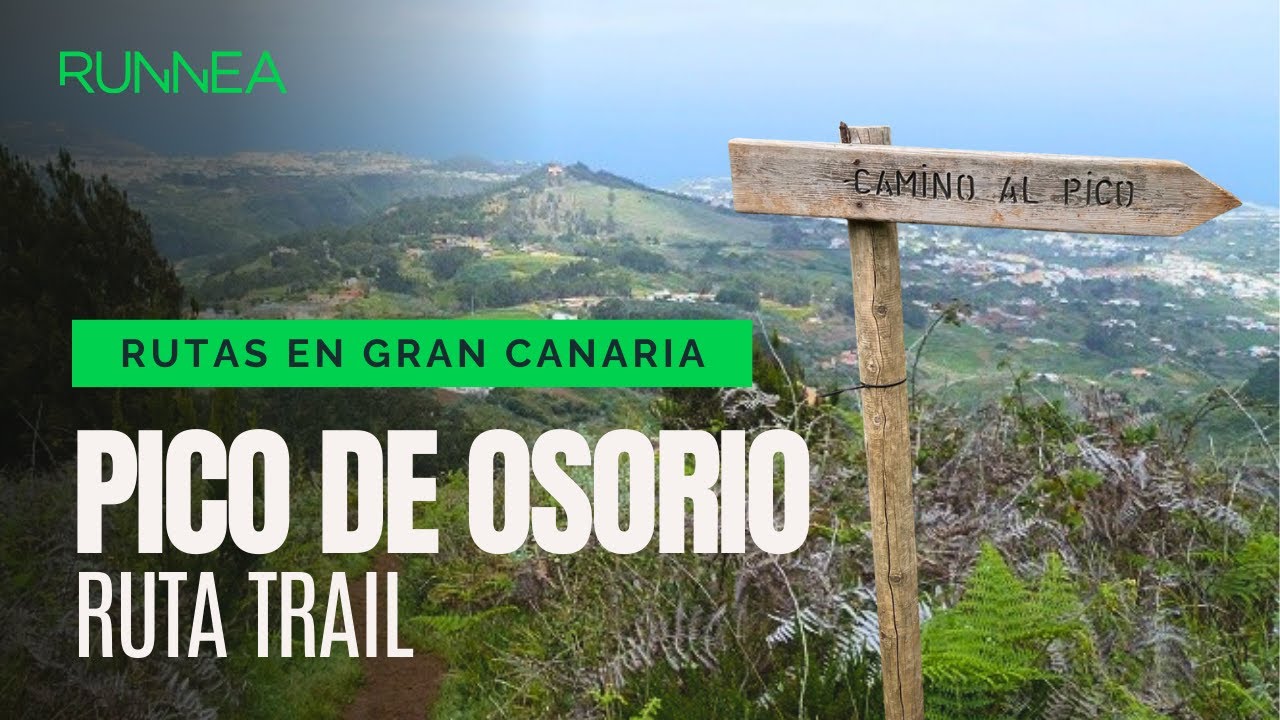 Ruta al Pico de Osorio: el sendero m&aacute;s bonito del norte de Gran Canaria