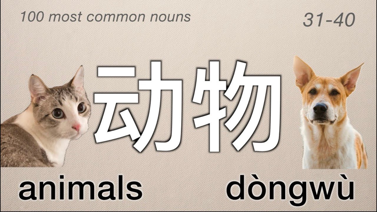 100 Most Common Nouns in Chinese