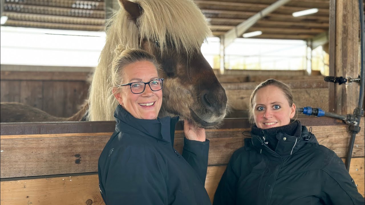 A day with TheHorseSeller - ICELANDIC HORSE DREAMS - Special : Verkauf S1/E17