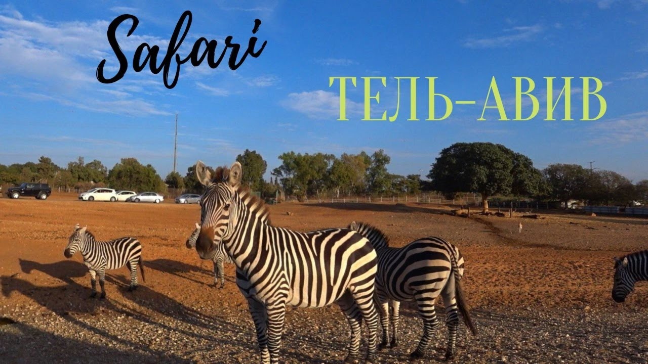 Зоопарк Сафари в Тель-Авиве! Ramat Gan Safari. Большой обзор от и до