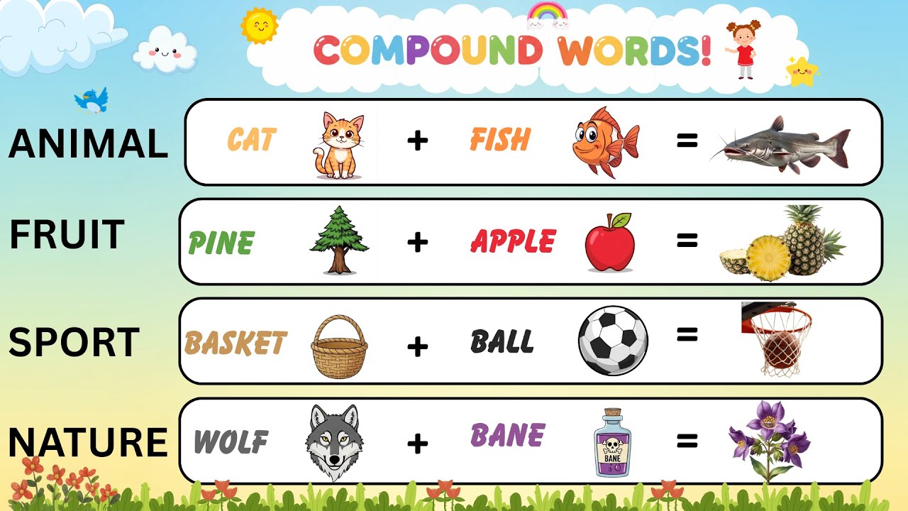 50+ Compound Words for Kids | Food, Animals, School, Sports & More | ABC Power Up