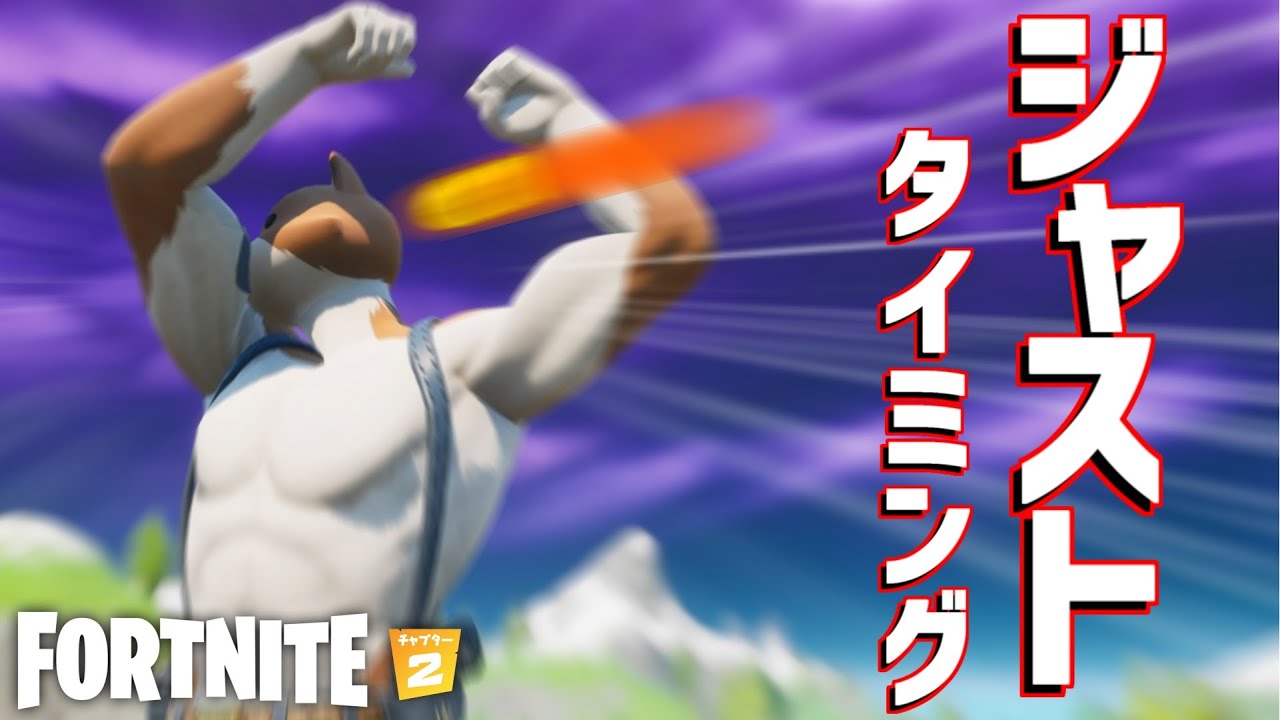 狙ったかのようなタイミングで撃たれる猫【Fortnite】