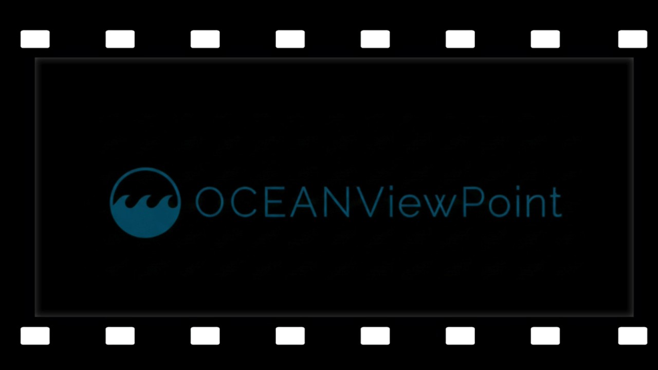 Ocean ViewPoint: TV News Media