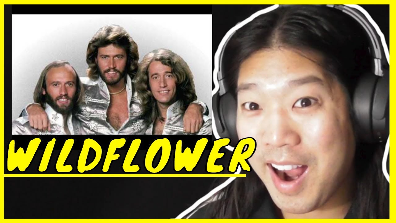 Bee Gees Wild Flower Reaction