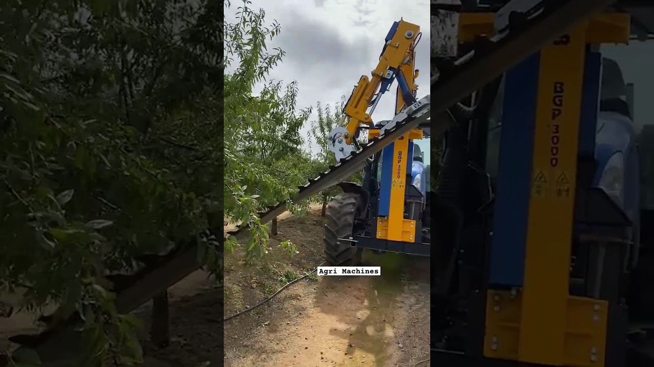 Pruning Machine BGP 3000 For Orchards & Vineyards || Made By Vimar Equipos Spain || #shorts