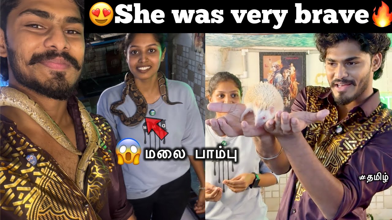 😍She was very brave🔥|😱மலை பாம்பு | she handling snake | TTF | Tamil |