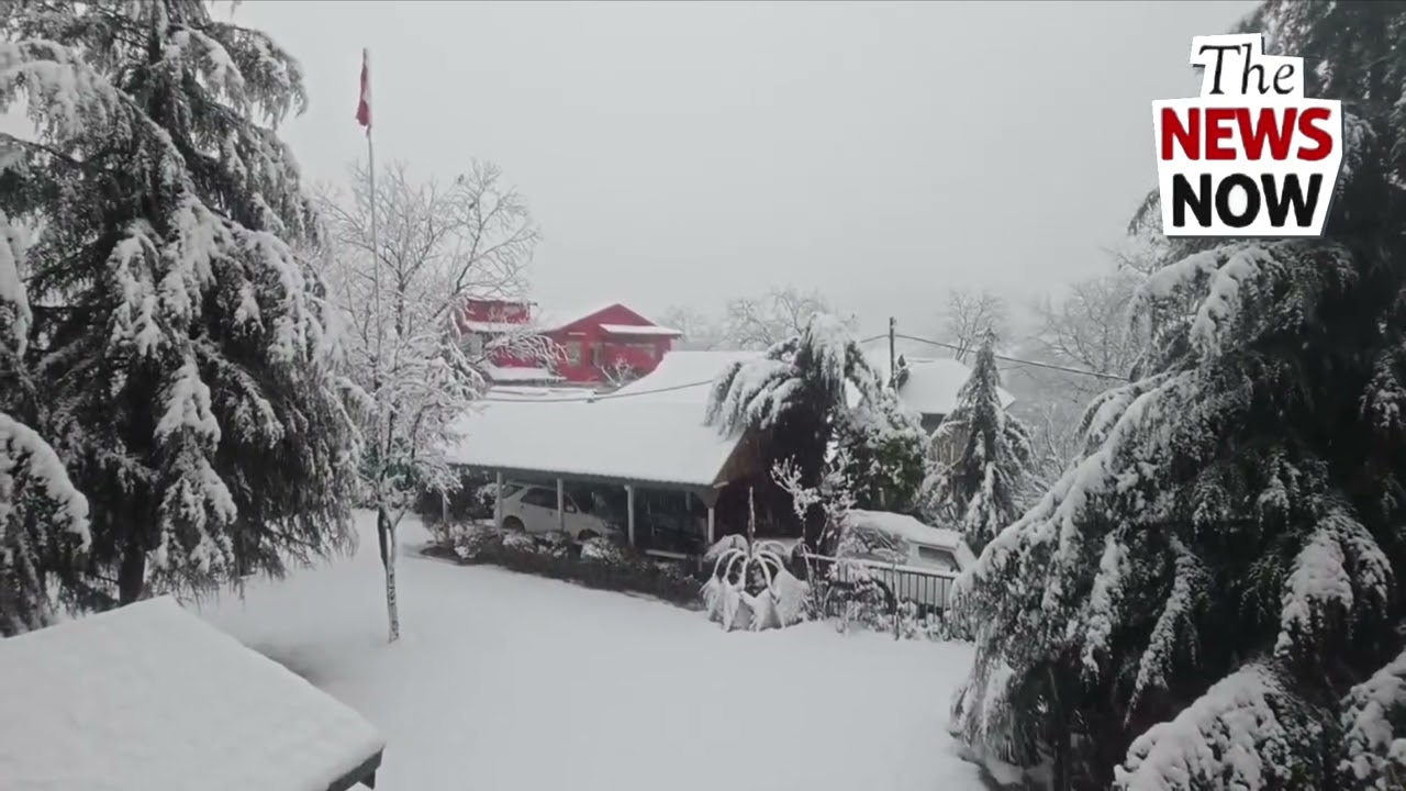 Winter arrives in Banihal with the season&rsquo;s first snowfall ❄️