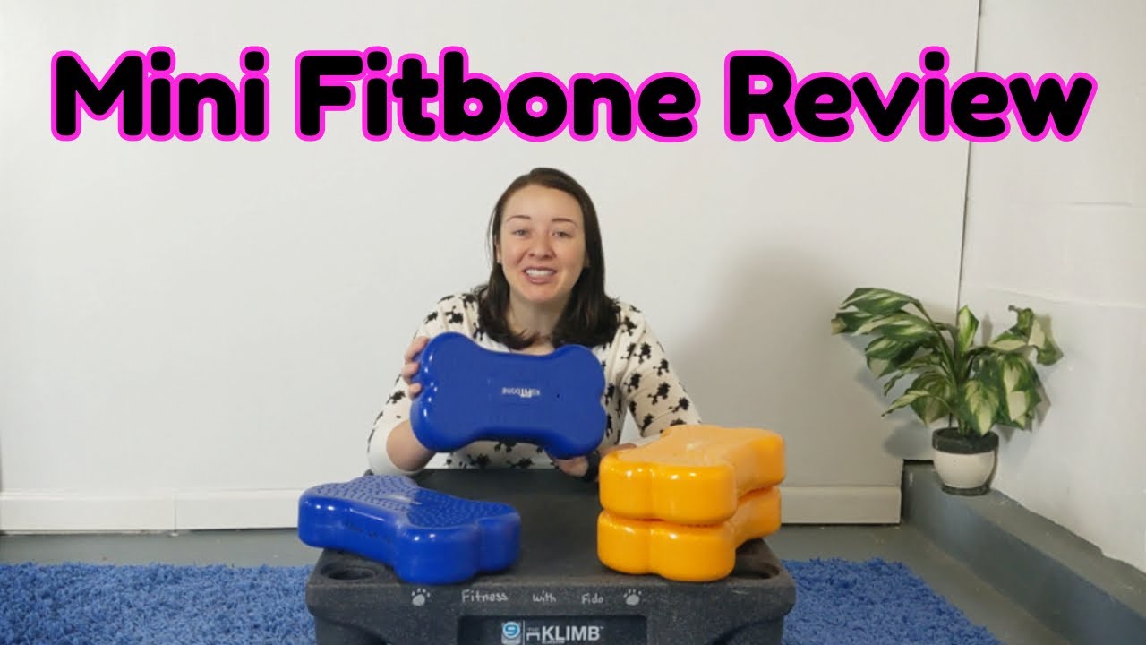 Mini Fitbone Review