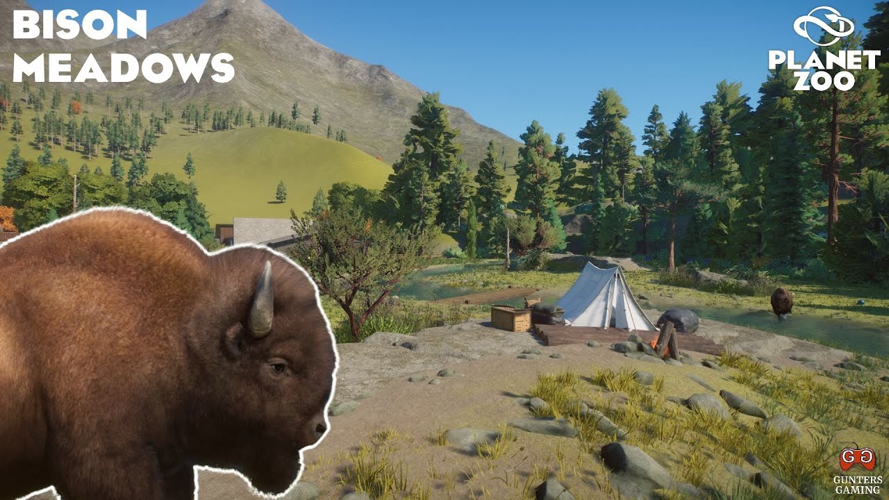 Building an American Bison Habitat | Planet Zoo Franchise Mode