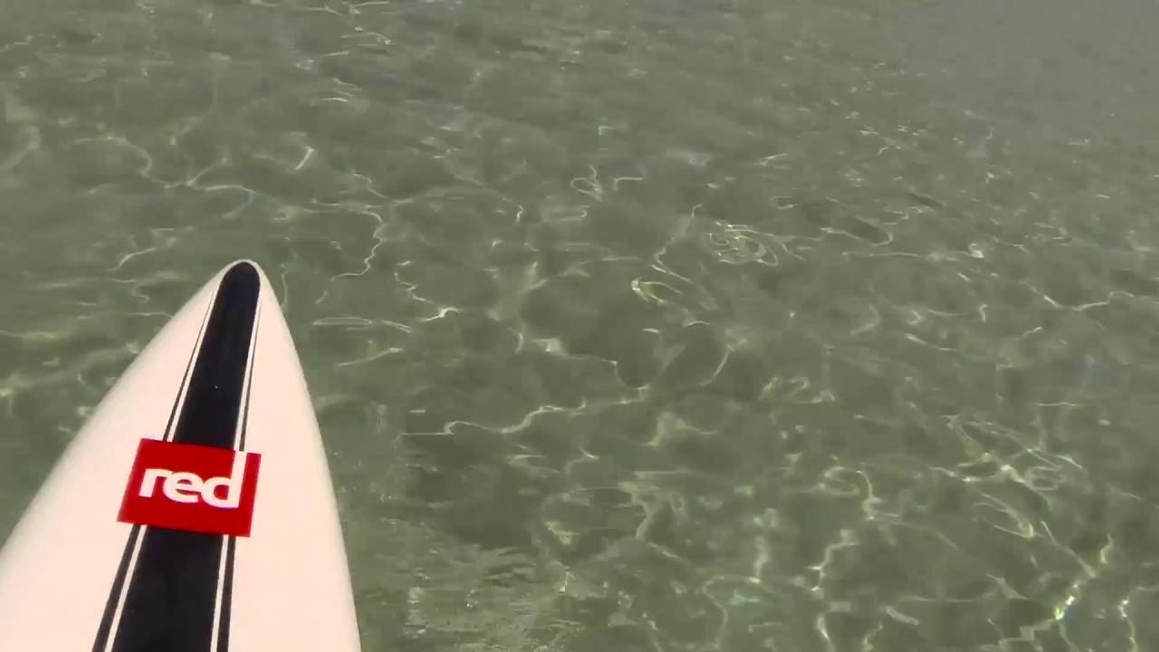 PADDLE PIANTARELLA