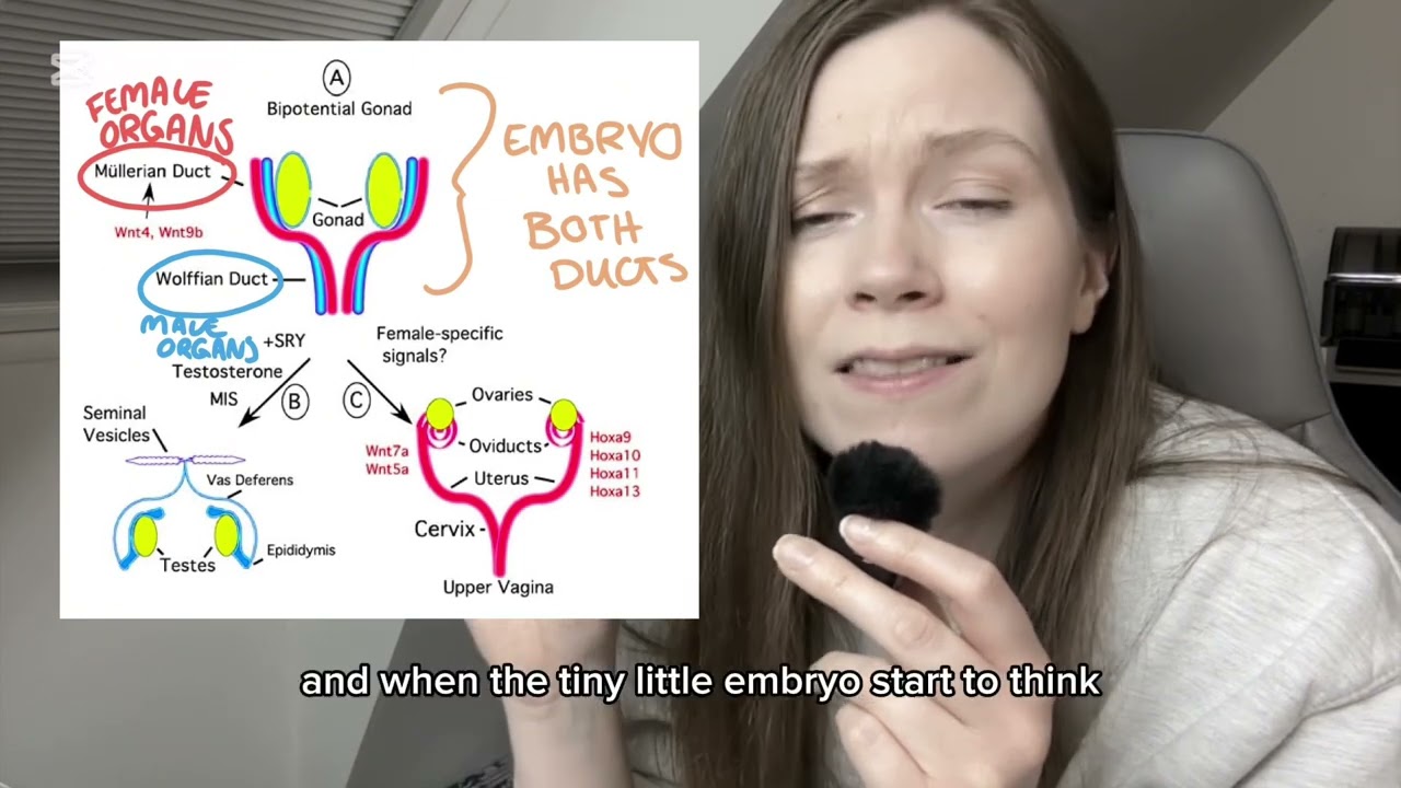 Endometriosis in men, how?