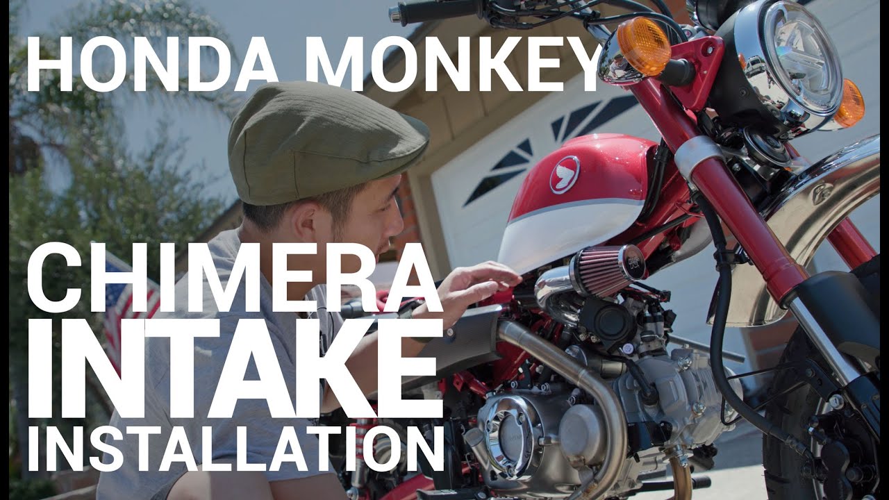 How to Install Chimera Engineering Short Ram Air Intake on a 2018 - 2020 Honda Monkey 125