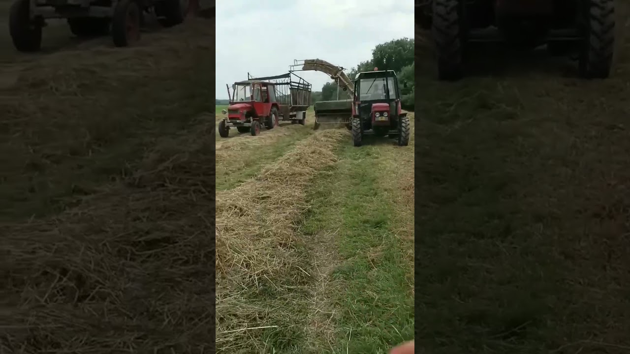 -Zetor 5245 a lis fortschritt k454    -Zetor 5711 a horal