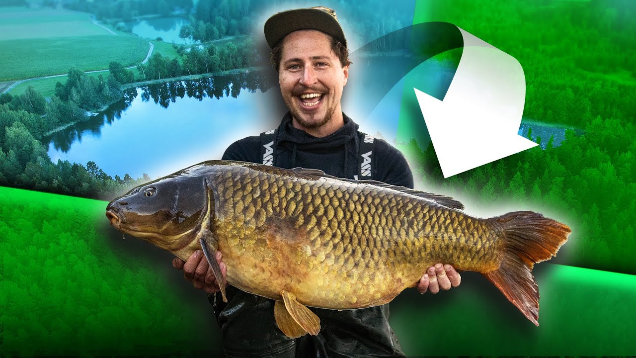 Karpfenangeln in Österreich 🇦🇹  I Andreas Hetzmannseder am Carpstone Lake