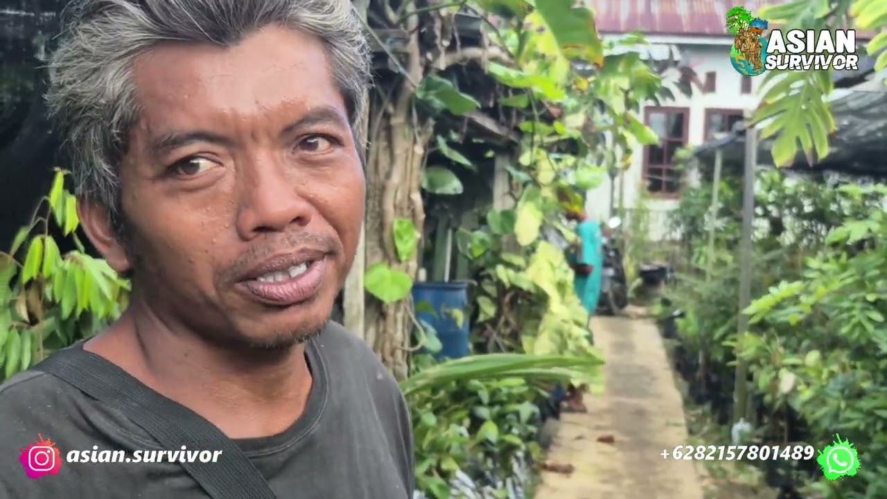 AJAK PAK UMAN SHOPPING, BELANJA BIBIT BUAH UNTUK DITANAM DI LAHAN TRANSMIGRASI. AMANAH HAMBA ALLAH