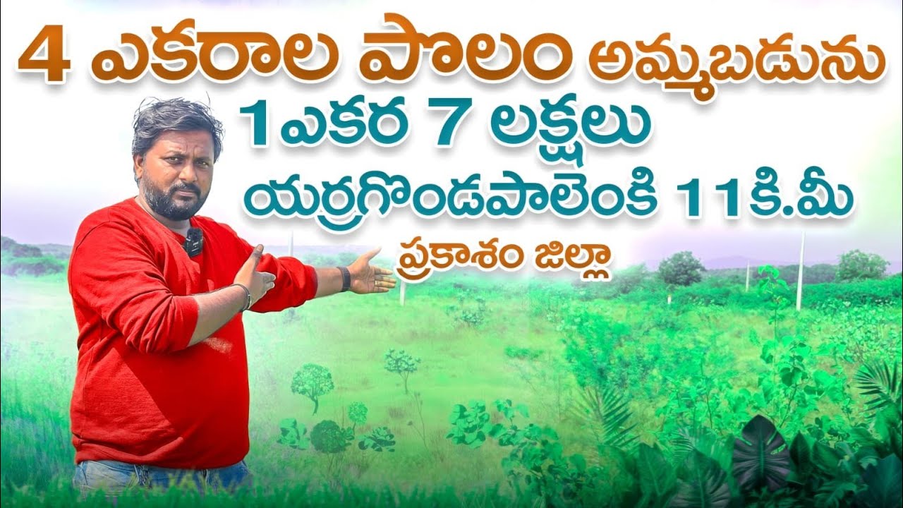 తక్కువ ధరలో మంచి వ్యవసాయ భూమి|యర్రగొండపాలెం దగ్గర 4 ఎకరాలు Only 7Lakhs per Acre@NandhuRealaEstate