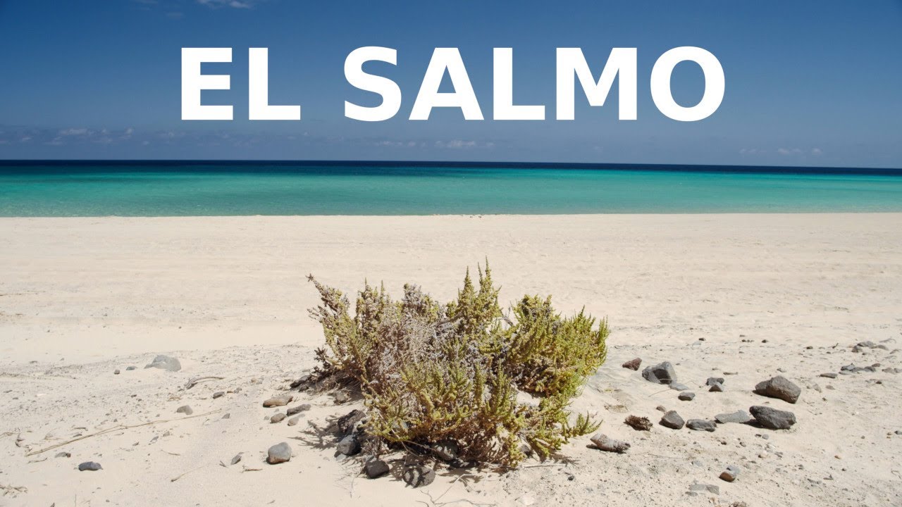 Playa del Salmo, Fuerteventura