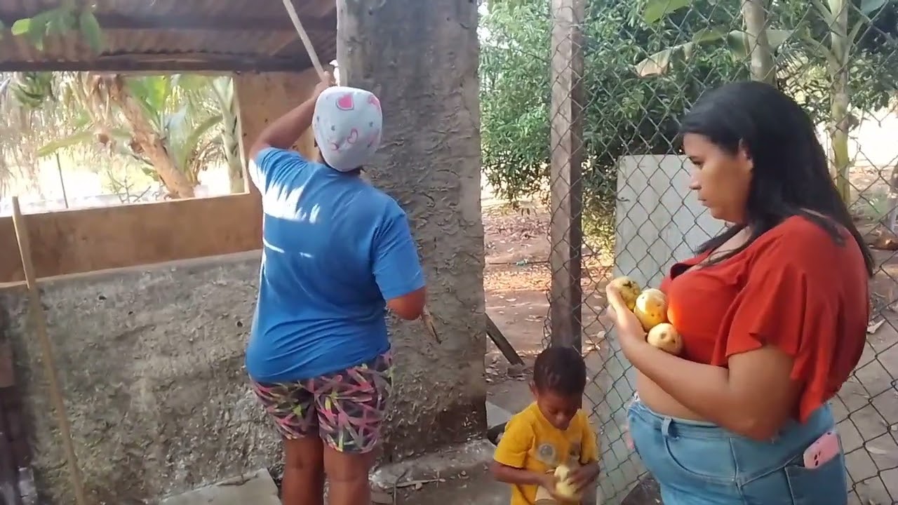 7 de fevereiro de 2026